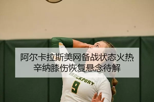 a-er-ka-la-si-mei-wang-bei-zhan-zhuang-tai-huo-re-xin-na-xi-shang-hui-fu-xuan-nian-dai-jie-2-711.jpg